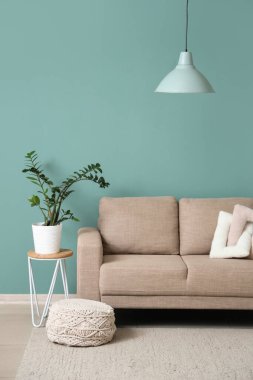 Oturma odasının içinde kanepe, örgü ve bitki var.