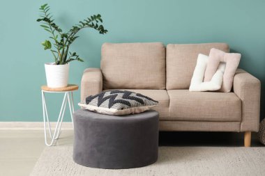 Oturma odasında kanepe, puf ve bitki var.