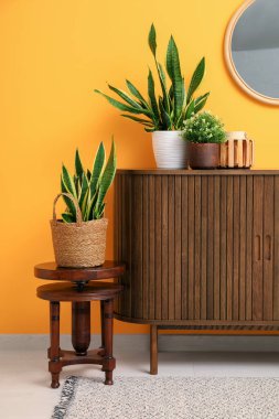 Kahverengi ahşap çekmeceler. Çiçekler ve turuncu duvarın yanındaki ayna.