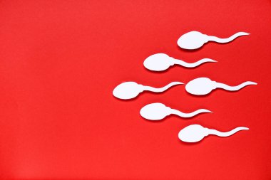 Kırmızı arkaplanda sperm hücreleri