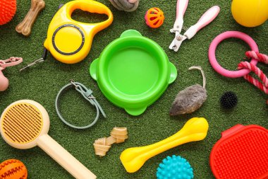 Yemek kasesi ve yeşil çimenlikte farklı hayvan aksesuarları.