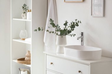 Okaliptüs dallı vazo ve banyodaki beyaz duvarın yanındaki çekmecelere batmak.