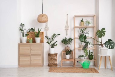 Bitkiler, klozet ve raf üniteli bahçıvan atölyesi.