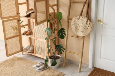 Koridorun içinde dolap, merdiven ve kadın ayakkabıları var.