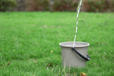 Yeşil çimlerin üzerinde plastik kovaya su dökerek.