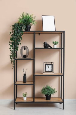 Bej duvarın yanında yapay bitki ve dekor bulunan raf ünitesi.