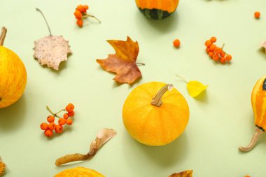 Balkabakları, viburnum ve yeşil arkaplanda yapraklarla sonbahar kompozisyonu