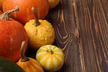 Ahşap arka planda farklı taze balkabakları