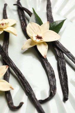 Aromatik vanilya çubukları ve beyaz arka plan üzerinde çiçekler