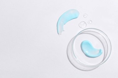 Beyaz arka planda numune içeren petri kabı