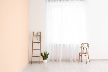 Sandalyeli merdiven ve ışık perdesinin yanındaki bitkiler