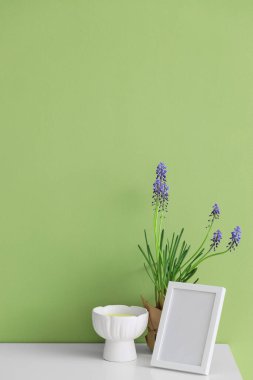 Yeşil duvarın yanında boş çerçeveli güzel Muscari çiçekleri