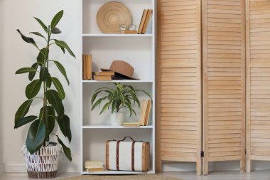 Kitaplığı, bitkileri ve katlanan ekranı olan ışık odasının içi