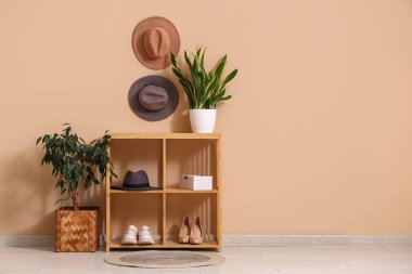 Bej duvarın yanında keçeli şapka, ayakkabı ve bitkilerle raflarda.