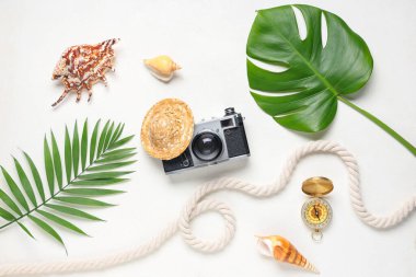 Renkli fotoğraf makinesi, pusula, deniz kabuğu ve arka planda palmiye yaprakları olan kompozisyon
