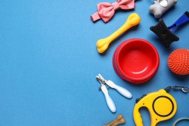 Yemek kasesi ve mavi arka planda farklı hayvan aksesuarları.