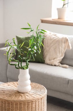 Oturma odasındaki sehpanın üzerinde bambu saplı vazo, yakın plan.