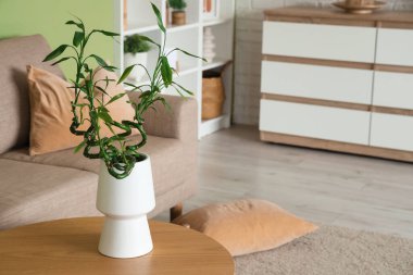 Oturma odasındaki sehpanın üzerinde bambu saplı vazo, yakın plan.