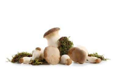 Beyaz arka planda yosun olan taze kral istiridye mantarları.