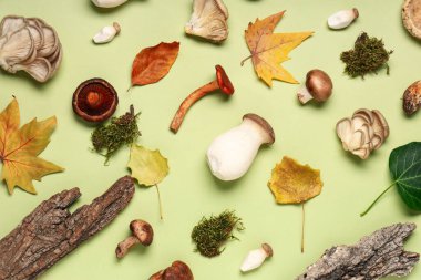 Yeşil arka planda yosun, ağaç kabuğu ve sonbahar yapraklı farklı taze mantarlar.