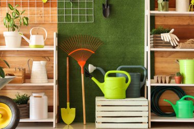 Raf üniteleri, bahçe aletleri ve bitkilerle dolu atölyenin içi