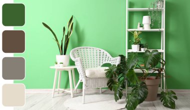 Hasır koltuklu, raf üniteli ve yeşil duvarın yanındaki ev bitkilerli modern bir oda. Farklı renk desenleri