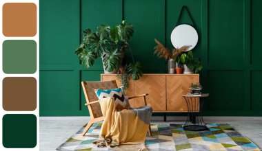 Oturma odasının içinde koltuk ve klozette Monstera bitkisi var. Farklı renk desenleri