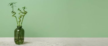 Yeşil duvarın yanında bambu saplı cam vazo. Tasarım için pankart