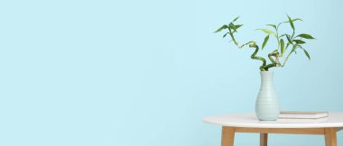 Bambu saplı vazo ve açık mavi duvarın yanındaki masada kitap. Tasarım için pankart