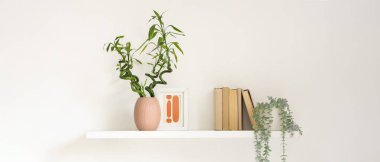 Bambu saplı raflar, kitaplar ve beyaz duvarda asılı bitki örtüsü. Tasarım için pankart