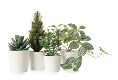 Beyaz arkaplanda yapay bitkiler