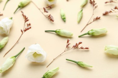 Renkli arka planda beyaz Eustoma ve kurumuş çiçekleri içeren kompozisyon, yakın plan