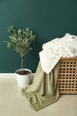 Sepetteki yeni yumuşak battaniyeler ve odadaki yeşil duvarın yanındaki bitki örtüsü.