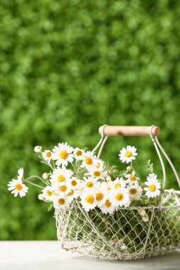 Açık havada beyaz masada üzerinde güzel papatya çiçekleri olan sepet.