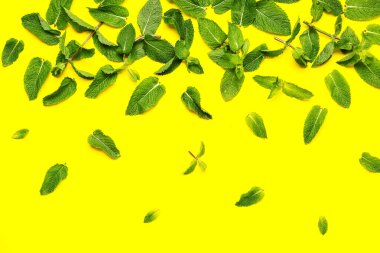 Sarı zemin üzerinde taze nane yaprakları olan kompozisyon