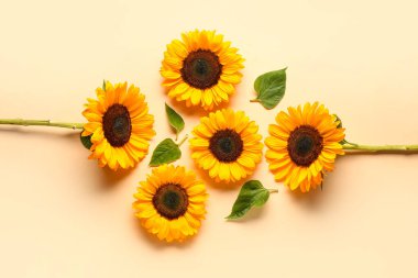 Turuncu arka planda güzel ayçiçekleri ve yapraklar