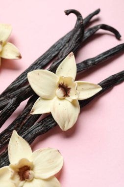 Aromatik vanilya çubukları ve pembe arka planda çiçekler