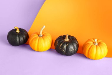 Renkli arkaplanda siyah ve turuncu balkabakları