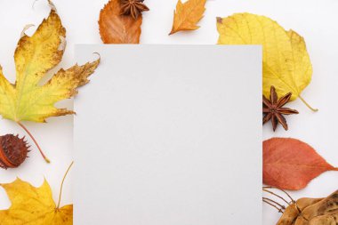 Beyaz arkaplanda boş kartıyla güzel sonbahar kompozisyonu
