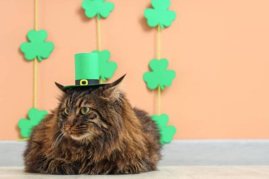 Bej duvarın yanında Aziz Patrick Günü kutlamaları için dekorlu şirin cüce şapkalı kedi.