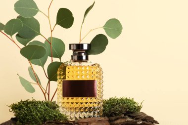 Bej arka planda yosun ve yapraklı bir şişe parfüm.
