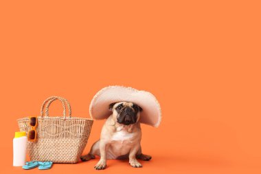 Turuncu arka planda plaj aksesuarlarının yanında oturan şapkalı sevimli Fransız bulldog.