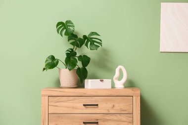 Oturma odasının modern iç mekanı. Çekmecelerin üstündeki saksıda tropik canavar yaprakları var. Yakın plan.