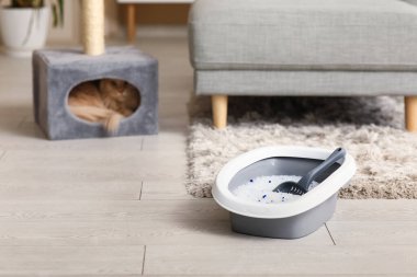 Odada yerde silis kristalleri olan kedi kumu kutusu.