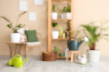 Yeşil bitkiler, koltuk ve raf ünitesi olan bulanık oda görüntüsü