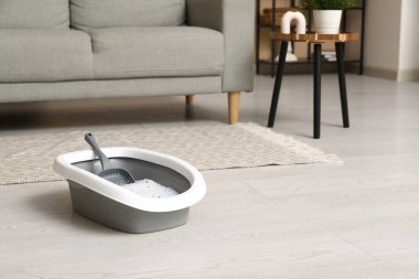 Oturma odasındaki kedi için kepçe ve plastik çöp kutusu