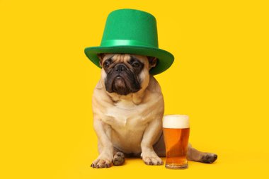 Sarı arka planda oturan yeşil şapkalı şirin Fransız bulldog 'u. Ekim Festivali Kutlaması