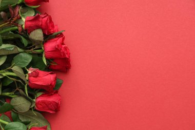 Kırmızı arka planda Sevgililer Günü için güzel gül çiçekleri