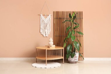 Ev bitkisi, halı ve bej duvarın yanında dekor olan şık bir kahve masası.