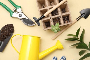 Bej arka planda bitki yetiştirme malzemeleri. Yakın çekim.